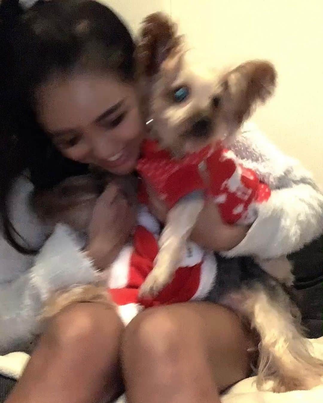 JennieBabyのインスタグラム：「🎄❄☃🎅🎁💕🎂✨ HAPPY HOLIDAYS！ クリスマス、お仕事しない主義の私は 12月24,25日お休みとってゆっくり過ごしたよ✨ 去年のイブはディズニーシーだったけど、今年は人混み微妙だし、おうちパーティでした！ 犬たちもご馳走であからさまにご機嫌😂 24はチキンで、25は犬用ハンバーグプレート＆犬用豆乳ケーキ🍰💗 #happyholidays #merrychristmas #christmas2020 #yorksherterrier #yorkie #yorkiesofinstagram #yorkies #yorkielovers #dogstagram #doglover #ヨークシャテリア #ヨーキー #愛犬家 #多頭飼いの幸せ #ヨーキー多頭飼い #ロミオとリボン #romeoandribbon」