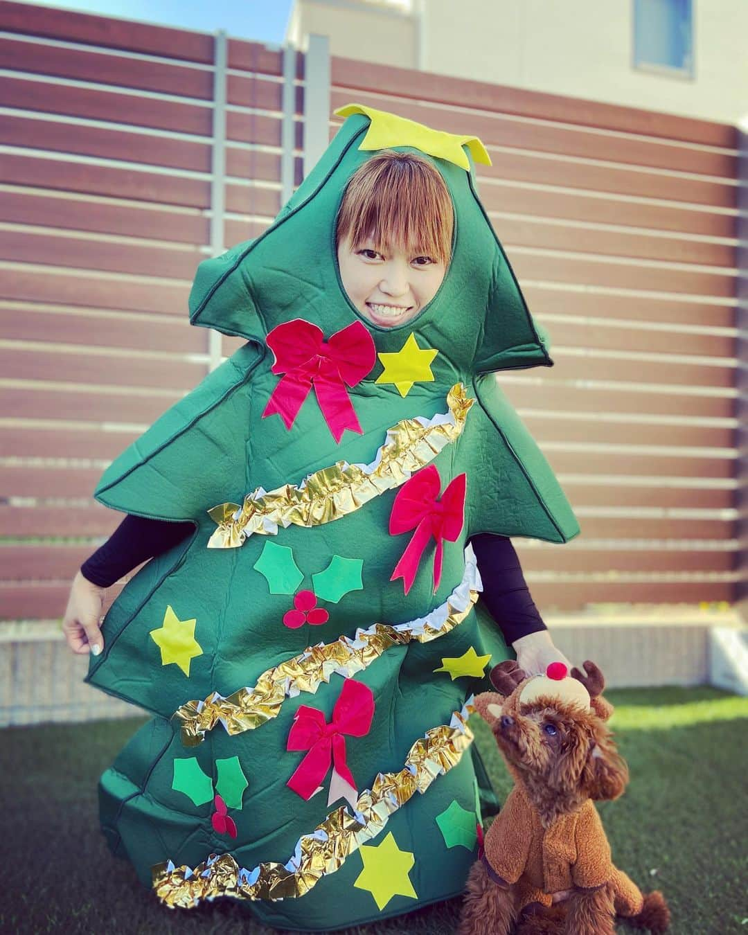 大菅小百合さんのインスタグラム写真 - (大菅小百合Instagram)「メリークリスマス🎄🎅🎁‼️ 娘が喜ぶと思ってツリーになってみたけど…反応薄くてガックリ🥲🤣ママツリー面白いと思ったんだけどなぁ〜💦 自分のサンタ姿の方が気に入ったご様子の娘ちゃん😍トナカイ犬も可愛い〜❤️🐶笑 来年は一緒にツリーになってくれる人求む‼️👍🏻 ひとりじゃ寂しくて☺️✨笑 ・ ・ ・ #メリークリスマス🎄  #娘サンタ #トナカイワンコ #ママツリー #張り切ったのは私だけ #でもそんな私にもサンタが #キターーー‼️✌🏻 #🎅」12月25日 20時57分 - sayuriosuga1027