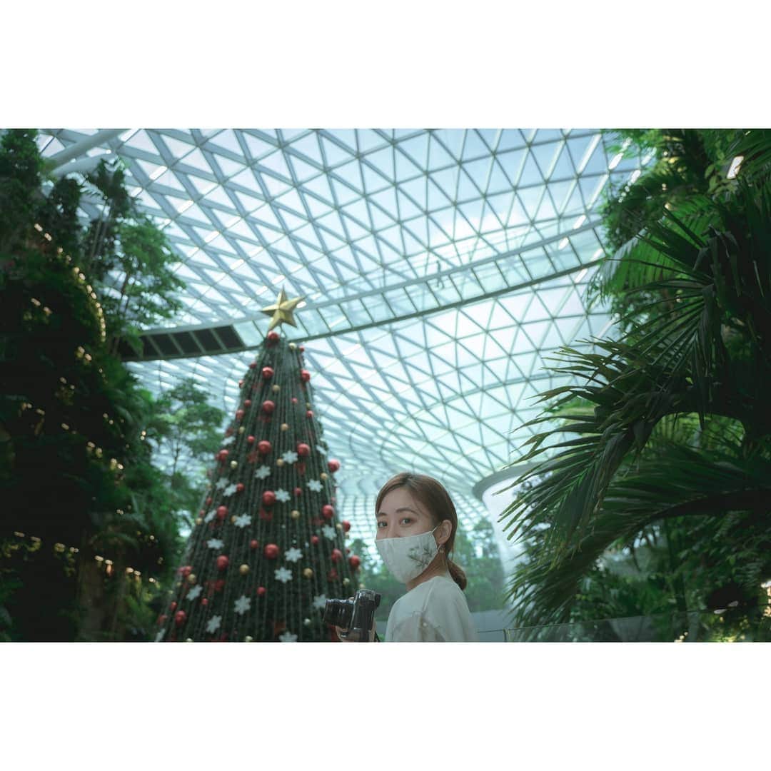 峯岸伽奈のインスタグラム：「. . . Merry Christmas everyone🎄💗」