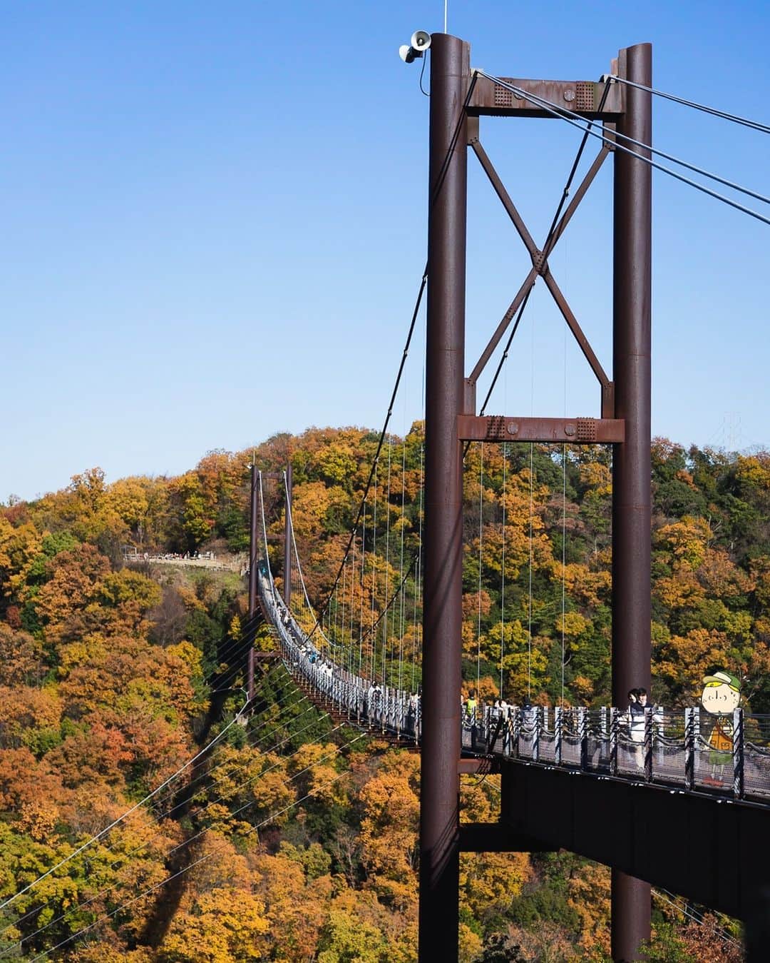Osaka Bob（大阪観光局公式キャラクター）さんのインスタグラム写真 - (Osaka Bob（大阪観光局公式キャラクター）Instagram)「If you aren't afraid of heights, take a walk on the Hoshino Buranko Bridge! The scenery is alway stunning🍂  星のブランコでは雄大な自然の中でスリリングな空中さんぽが楽しめる♪ 高いところが得意な人は行ってみてー！  ————————————————————— #maido #withOsakaBob #OSAKA #osakatrip #japan #nihon #OsakaJapan #大坂 #오사카 #大阪 #Оsака #Осака #โอซาก้า #星のブランコ #hoshinoburanko #ほしだ園地」12月25日 21時12分 - maido_osaka_bob