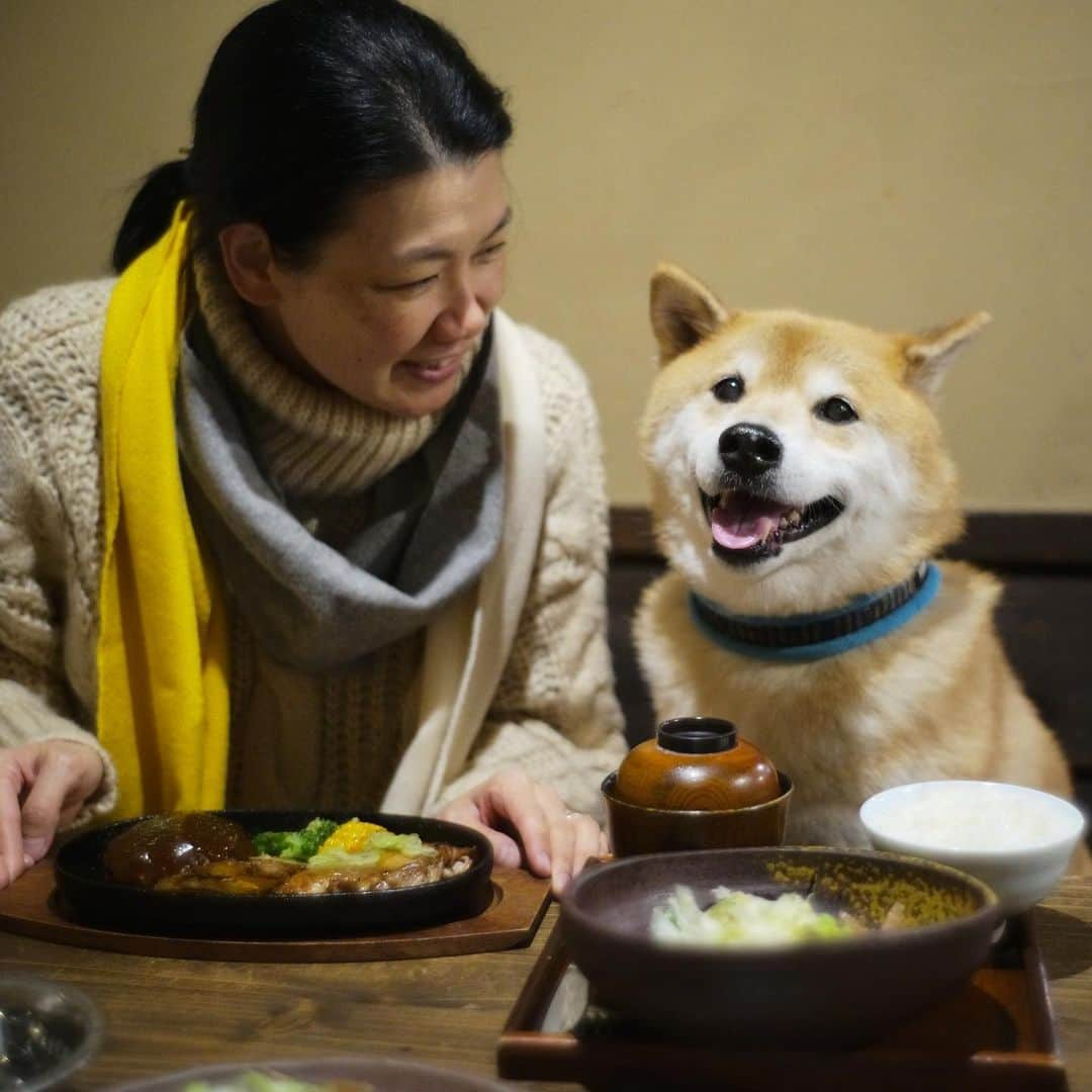 まる（まるたろう）のインスタグラム