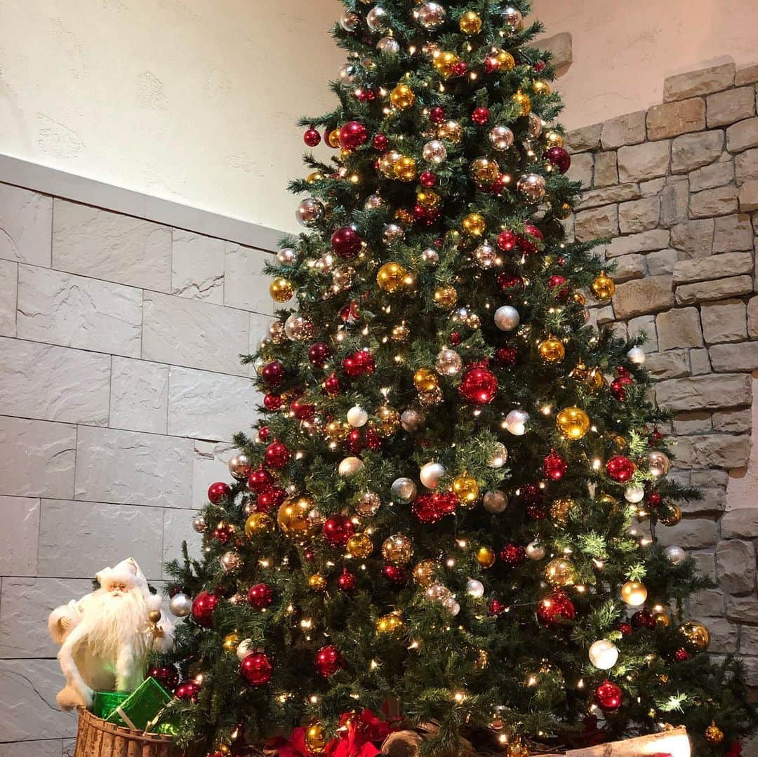大村彩子さんのインスタグラム写真 - (大村彩子Instagram)「✨🔔Merrry Christmas🎄✨  いかがお過ごしですか? 今年は(も？)まったりクリスマスです🎄  そして先日、お誕生日を迎えました。今年は迎えられたことを特に噛み締めるような1年になりました。  日頃から気にかけてくださる皆々様に感謝の気持ちを込めて。  残り数時間ですが、 素敵なクリスマスの夜をお過ごしください🌉  #merrychristmas #2020 #朝起きたら玄関にプレゼント #まさかすぎて #サンタさん来た #友人から刺激とサプライズを受けた#happyholidays」12月25日 21時27分 - ayako_omura