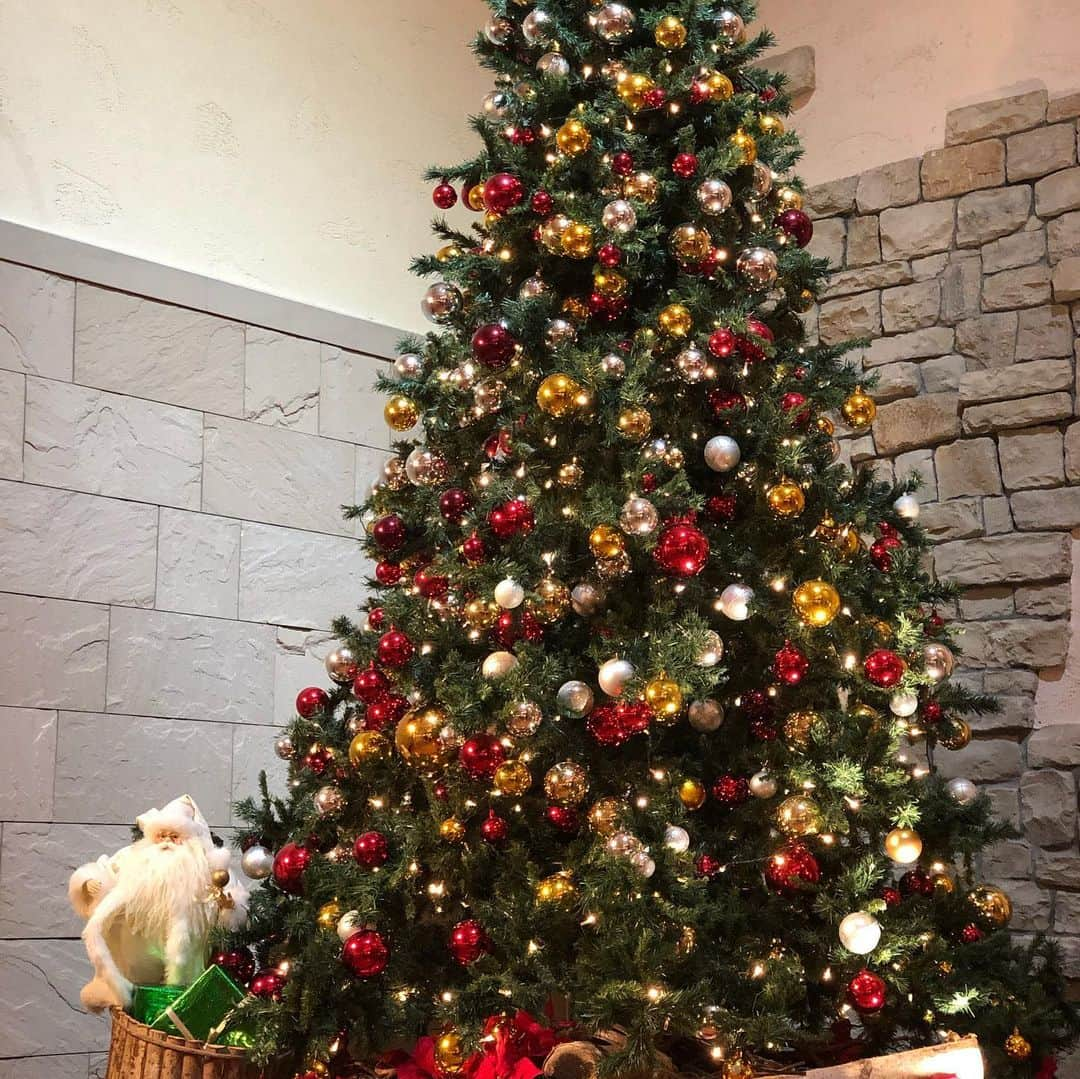 大村彩子のインスタグラム：「✨🔔Merrry Christmas🎄✨  いかがお過ごしですか? 今年は(も？)まったりクリスマスです🎄  そして先日、お誕生日を迎えました。今年は迎えられたことを特に噛み締めるような1年になりました。  日頃から気にかけてくださる皆々様に感謝の気持ちを込めて。  残り数時間ですが、 素敵なクリスマスの夜をお過ごしください🌉  #merrychristmas #2020 #朝起きたら玄関にプレゼント #まさかすぎて #サンタさん来た #友人から刺激とサプライズを受けた#happyholidays」