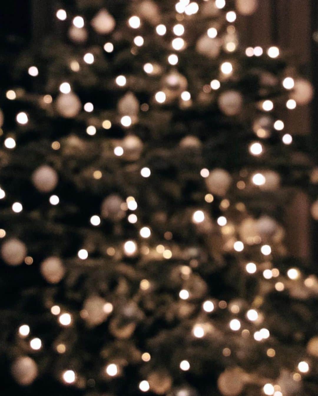 井出レイコさんのインスタグラム写真 - (井出レイコInstagram)「. 🧸Merry X'mas 🌹🎄🌹🎄🌹🎄🌹 . みなさん　どんなクリスマスを 過ごしてますか🌙🌙🌙？ . 素敵な夜を過ごしてください🕯🕯🕯🔮🌙 . #merrychristmas #loveyou 🤍🤍🤍」12月25日 21時27分 - ide_reiko_