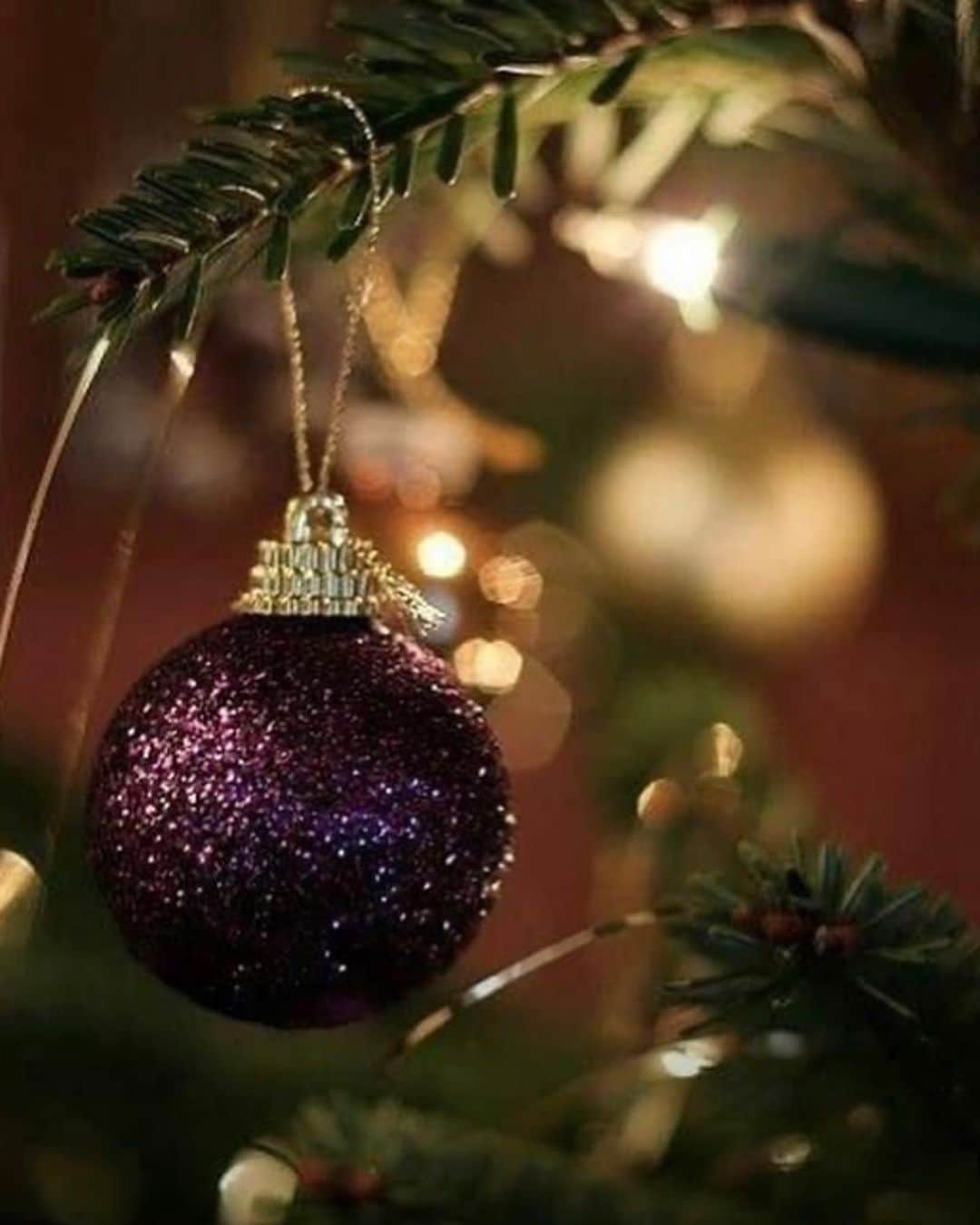 井出レイコのインスタグラム：「. 🧸Merry X'mas 🌹🎄🌹🎄🌹🎄🌹 . みなさん　どんなクリスマスを 過ごしてますか🌙🌙🌙？ . 素敵な夜を過ごしてください🕯🕯🕯🔮🌙 . #merrychristmas #loveyou 🤍🤍🤍」