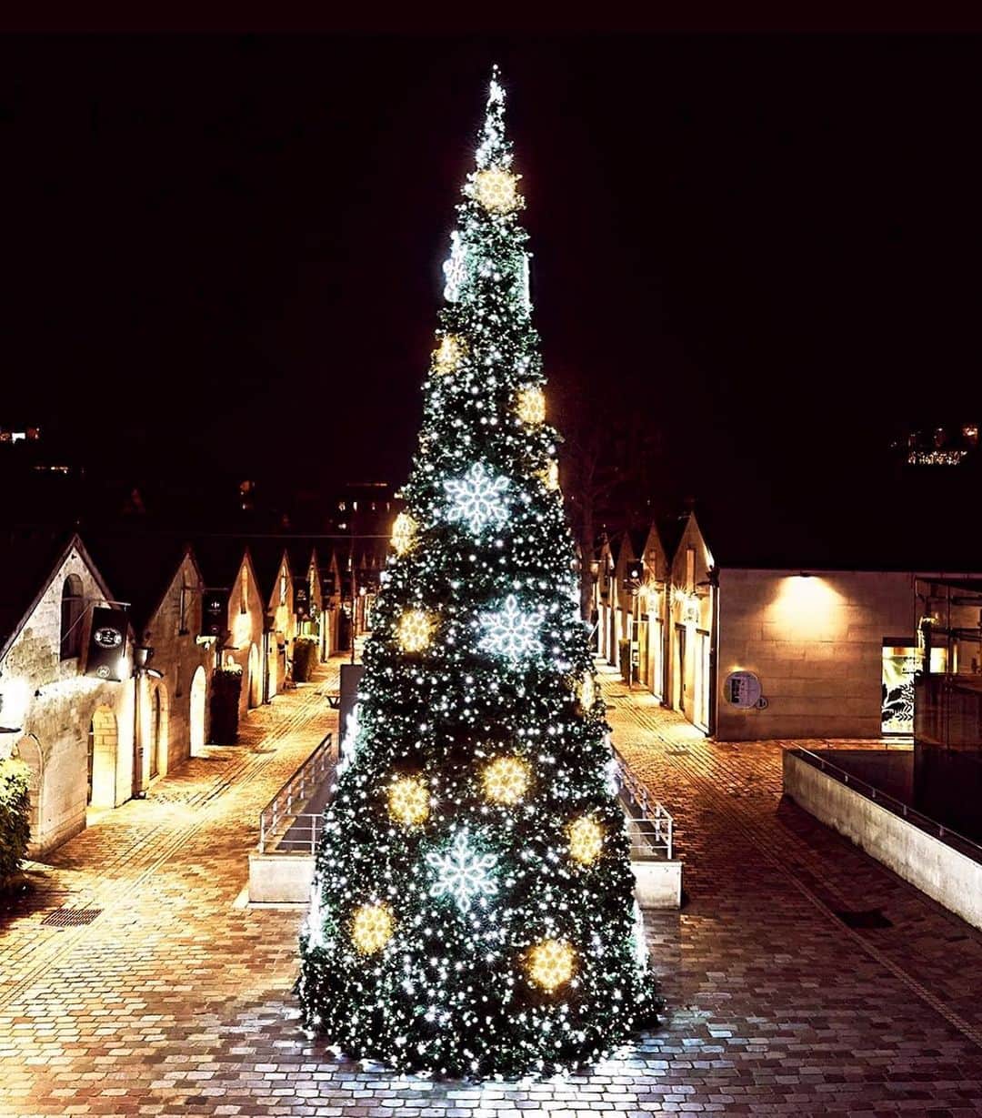 Official lemönplet Instagramさんのインスタグラム写真 - (Official lemönplet InstagramInstagram)「🎄Joyeux Noël🎄  #paris #christmas #lemonplet #레몬플렛 #レモン」12月25日 21時59分 - lemonplet.official