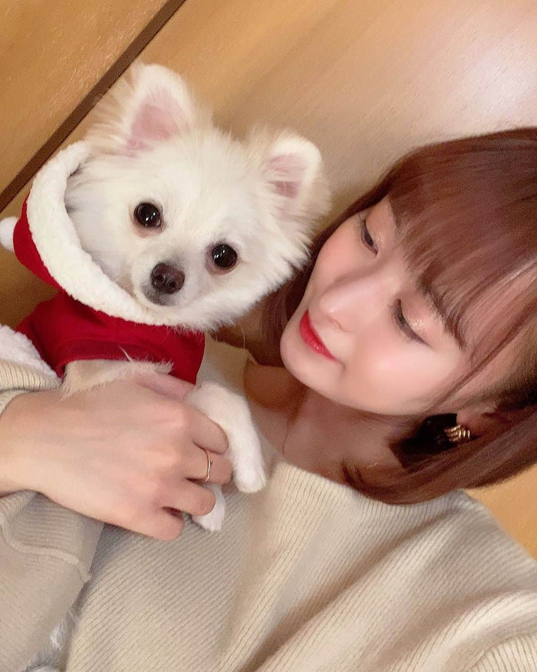 三浦亜莉沙さんのインスタグラム写真 - (三浦亜莉沙Instagram)「﻿ ▷▷ 𝐜𝐡𝐫𝐢𝐬𝐭𝐦𝐚𝐬﻿ ﻿ クリスマス当日はサンタさん🎅🏻💕﻿ ﻿ このぷぅの着てるサンタさん けいちゃん（ @jonishi_kei ）がプレゼントしてくれたの〜🎁✨﻿ ﻿ 可愛すぎる🥺💕﻿ ありがと〜🐶﻿ ﻿ ﻿ #クリスマス #christmas﻿ #メリークリスマス ﻿ #🎄」12月25日 22時00分 - arisa_0720