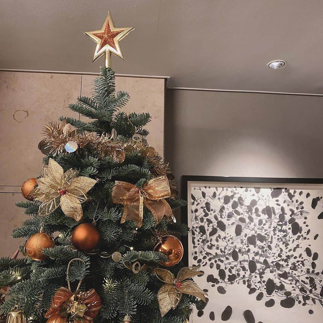 藤本有紀美のインスタグラム：「Merry  Christmas🎄🎁🌟 みなさんの願い事が叶いますように💫 #🎅　#🎄　#🎁　#🌟」