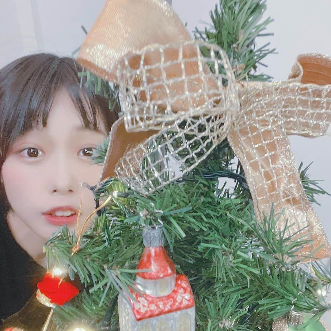 あのちゃんさんのインスタグラム写真 - (あのちゃんInstagram)「クリスマスが昔から好き。  クリスマス以外の行事には一つも興味ない🎄🎂🎁🍷🍗 ㅤㅤㅤㅤㅤㅤㅤㅤㅤㅤㅤㅤㅤ 一年で唯一機嫌のいい日といってもいいでしょう＾＾v 今年買った御犬のオーナメント🐕 ㅤㅤㅤㅤㅤㅤㅤㅤㅤㅤㅤㅤㅤ  二日間で終わっちゃうの寂しいけど短いとこも好きさ  ㅤㅤㅤㅤㅤㅤㅤㅤㅤㅤㅤㅤㅤ 皆さん一人でも誰かとでも残り楽しんでください。 ㅤㅤㅤㅤㅤㅤㅤㅤㅤㅤㅤㅤㅤ  ᔦᔧ✩MᵉʳʳʸXᵐᵅˢ✩ᔦᔧ」12月25日 22時18分 - a_n_o2mass