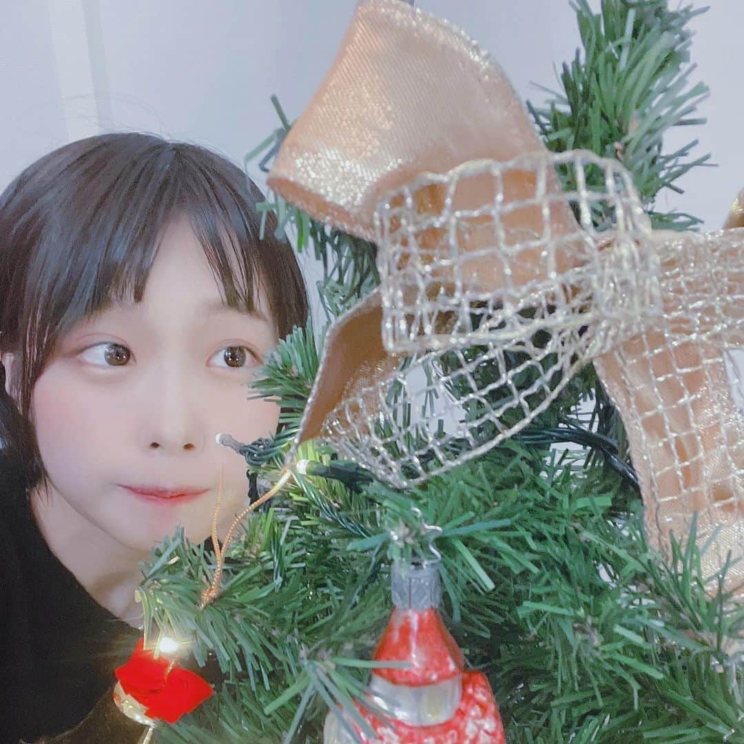 あのちゃんさんのインスタグラム写真 - (あのちゃんInstagram)「クリスマスが昔から好き。  クリスマス以外の行事には一つも興味ない🎄🎂🎁🍷🍗 ㅤㅤㅤㅤㅤㅤㅤㅤㅤㅤㅤㅤㅤ 一年で唯一機嫌のいい日といってもいいでしょう＾＾v 今年買った御犬のオーナメント🐕 ㅤㅤㅤㅤㅤㅤㅤㅤㅤㅤㅤㅤㅤ  二日間で終わっちゃうの寂しいけど短いとこも好きさ  ㅤㅤㅤㅤㅤㅤㅤㅤㅤㅤㅤㅤㅤ 皆さん一人でも誰かとでも残り楽しんでください。 ㅤㅤㅤㅤㅤㅤㅤㅤㅤㅤㅤㅤㅤ  ᔦᔧ✩MᵉʳʳʸXᵐᵅˢ✩ᔦᔧ」12月25日 22時18分 - a_n_o2mass