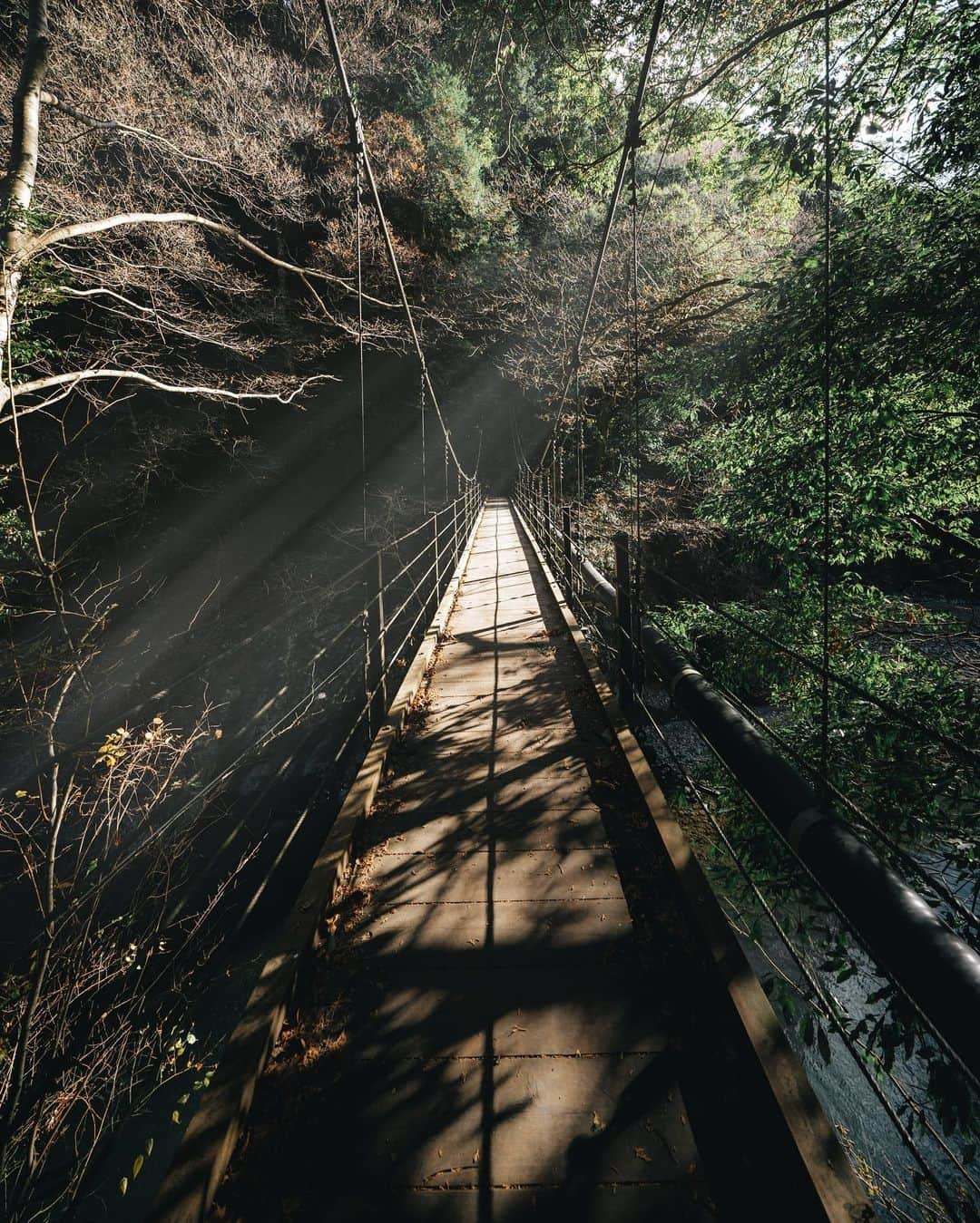 _msy_tさんのインスタグラム写真 - (_msy_tInstagram)「The Toke bridge. This place is so rich in nature.  It’s not like in Tokyo. . 奥多摩の登計橋。 ここは本当に東京かと思うくらい自然豊かな場所でした🏞 . . . #visitjapanjp #tokyocameraclub #sorakataphoto #retrip_nippon #art_of_japan_ #daily_photo_jpn #wu_japan #japan_daytime_view #rakutentravel #jalan_travel #lovers_nippon #bestjapanpics  #whim_life #special_spot_ #loves_united_japan #japan_art_photography #Nipponpic #lovers_amazing_group #japantravelphoto #otonatabi_japan #total_nature_japan #photo_travelers #bridge #okutama #TAMASHIMAフォトコン #多摩でみつけた自然 #広がり同盟 #東京カメラ部 #奥多摩 #登計橋」12月25日 22時13分 - masaya_takigawa