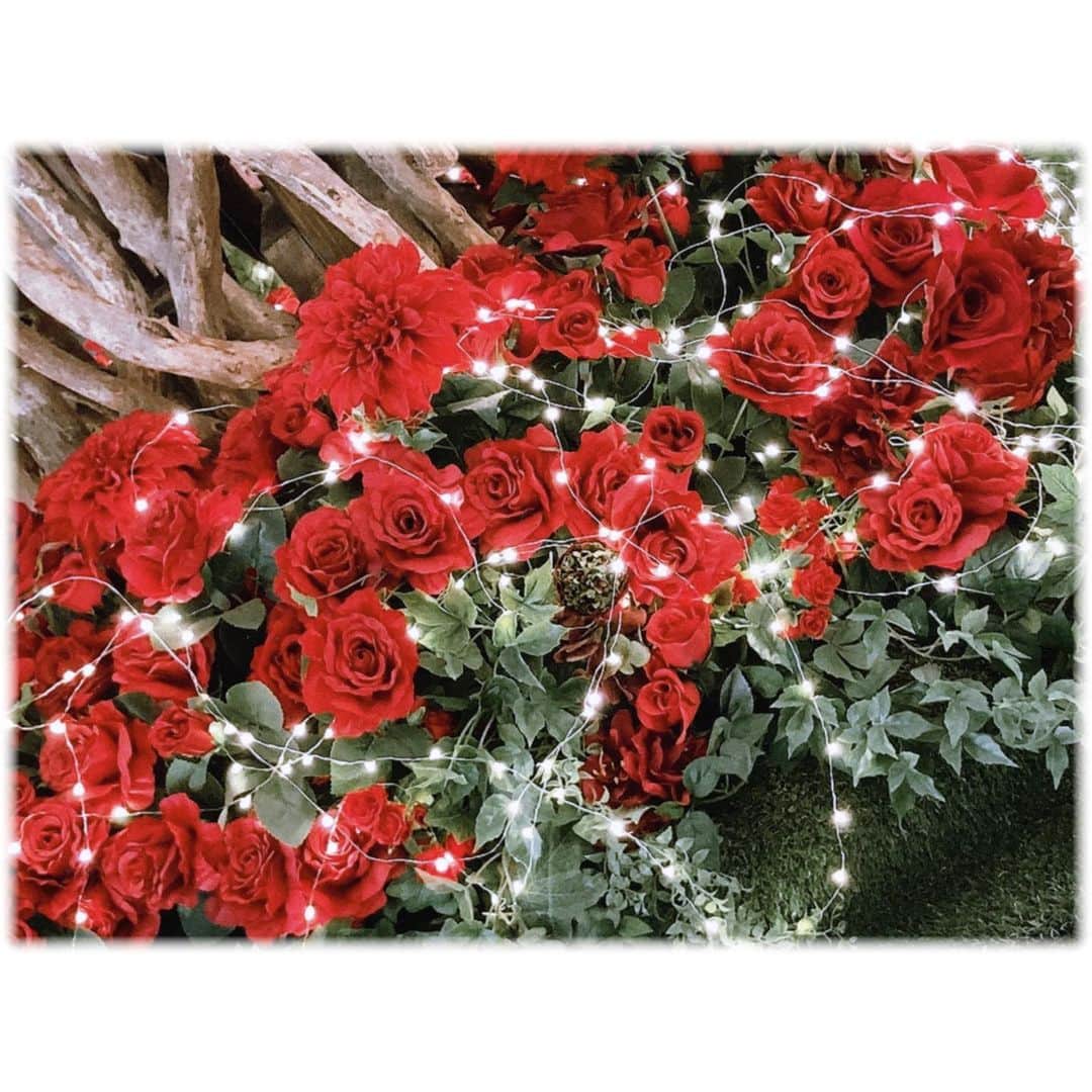 のインスタグラム：「🥀」