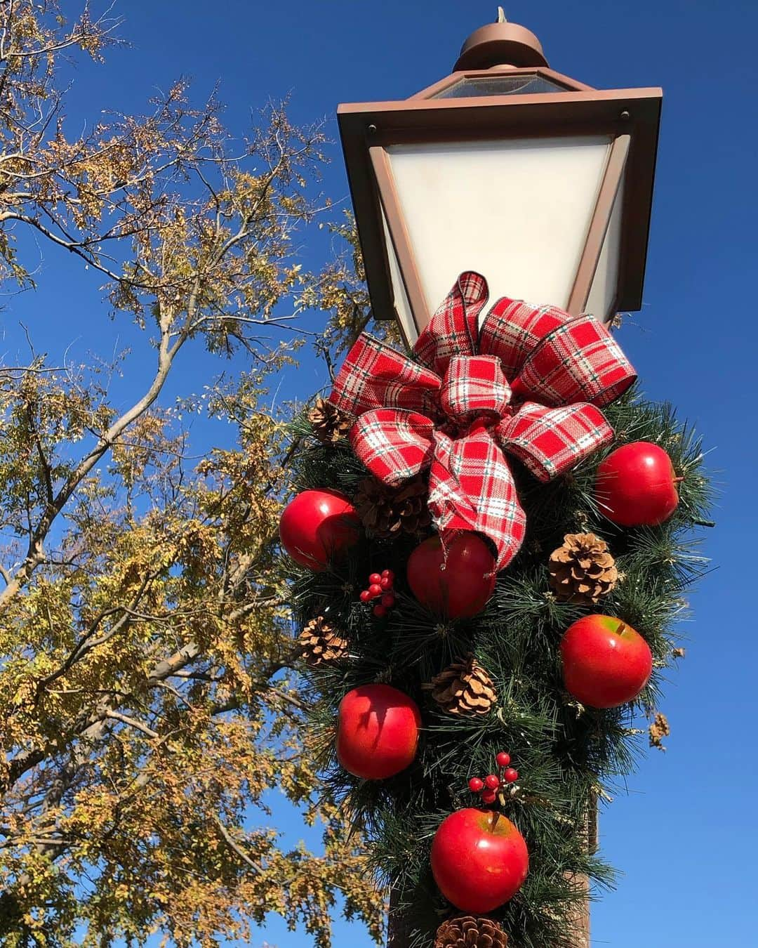 橘ゆりかさんのインスタグラム写真 - (橘ゆりかInstagram)「💝🎄Merry Christmas🦌🛷🎅🏻﻿ ﻿ ﻿  大好きなクリスマスシーズンが﻿ 終わってしまうよ〜さみしいなぁ🥺﻿ ﻿ きらきらツリーも好きだけどあたたかみのあるカントリーなリースとかツリーも好き🌲🧶🧺﻿ ﻿ ﻿ ﻿ #メリークリスマス #橘ゆりか #ディズニーシー #ケープコッド #ディズニークリスマス #クリスマスリース #christmasdisney #tokyodisneysea #tds #christmas #merrychristmas #happyholidays」12月25日 22時21分 - yuricalcal