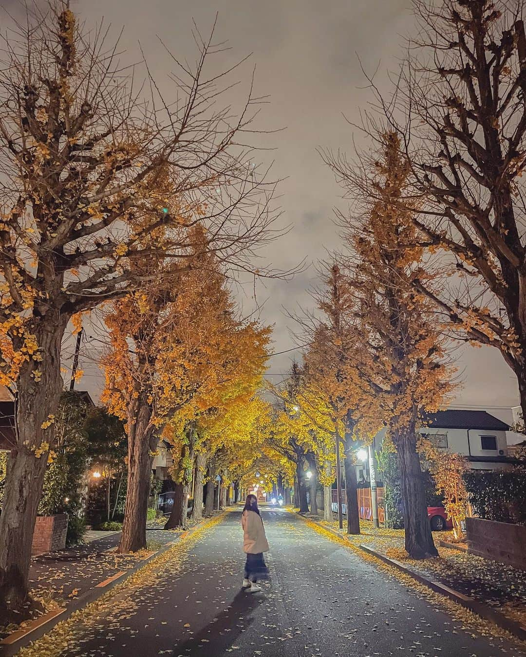 曽根由希江さんのインスタグラム写真 - (曽根由希江Instagram)「冬。﻿ 夜のお散歩。﻿ お寒ぅございますだった時。﻿ ﻿ #愛犬とお散歩﻿ #めっちゃ地元着的なダサ着だったから﻿ #載せるつもりなかったんだが﻿ #順番的にアップの写真がやだったので﻿ #風景よりの写真探したらこれしかなかた﻿ #インスタの全体バランス考えちゃうやつ﻿ #つまり本当に載せたいのは﻿ #次の写真 笑﻿ #メリクリ﻿ _________________________________________」12月25日 22時25分 - yukiesone427