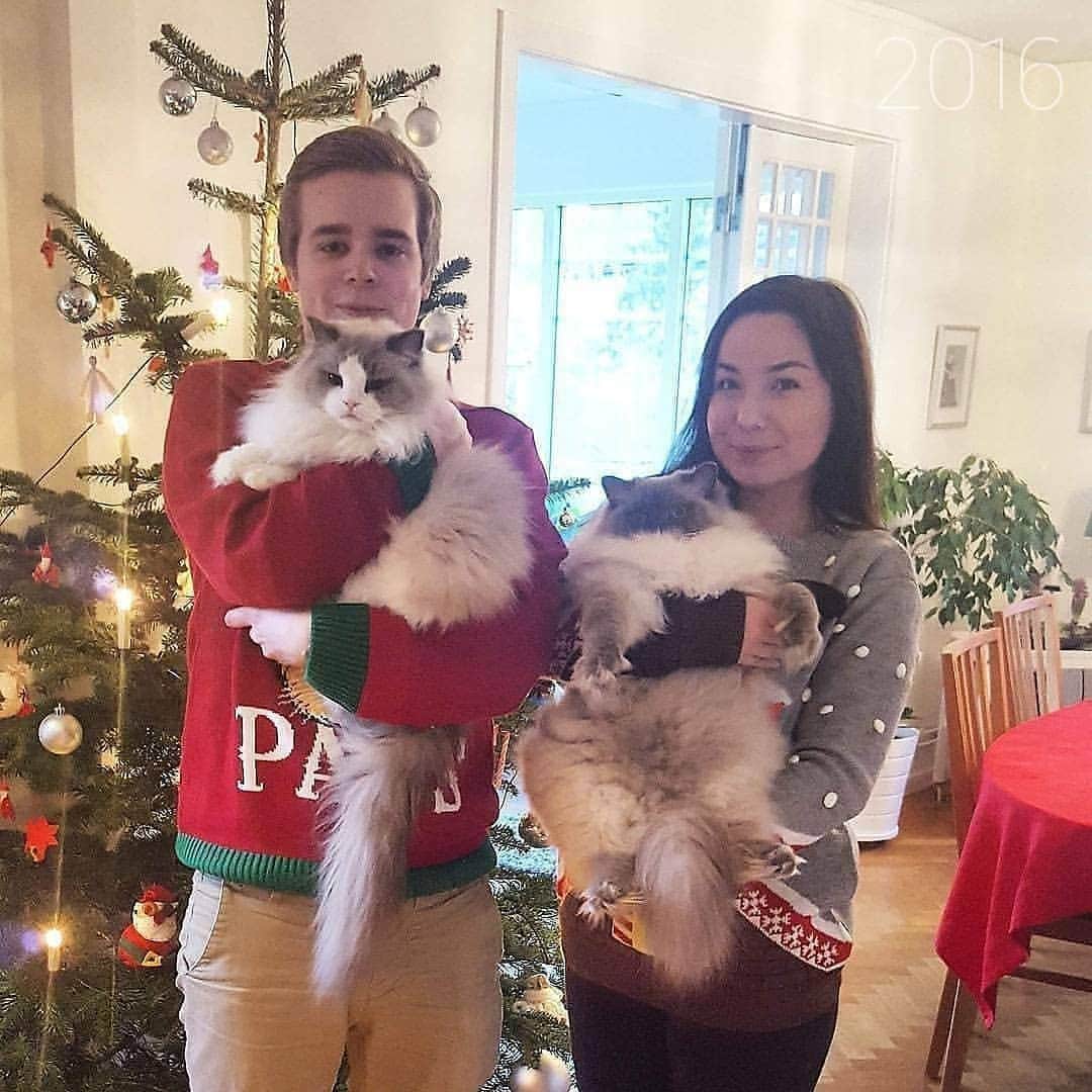 Princess Auroraさんのインスタグラム写真 - (Princess AuroraInstagram)「Merry Christmas everyone! 🎅  Here's our annual Christmas photo for 2020. As you can tell the kitties were not feeling it as much this time 😹  Hope everyone is having a wonderful Christmas, stay safe! ❤」12月25日 22時26分 - aurorapurr