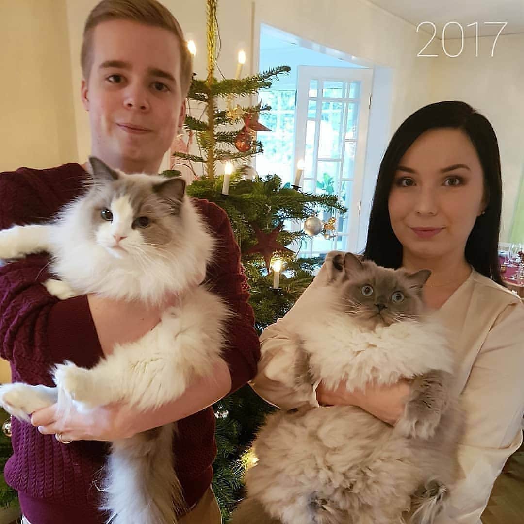 Princess Auroraさんのインスタグラム写真 - (Princess AuroraInstagram)「Merry Christmas everyone! 🎅  Here's our annual Christmas photo for 2020. As you can tell the kitties were not feeling it as much this time 😹  Hope everyone is having a wonderful Christmas, stay safe! ❤」12月25日 22時26分 - aurorapurr