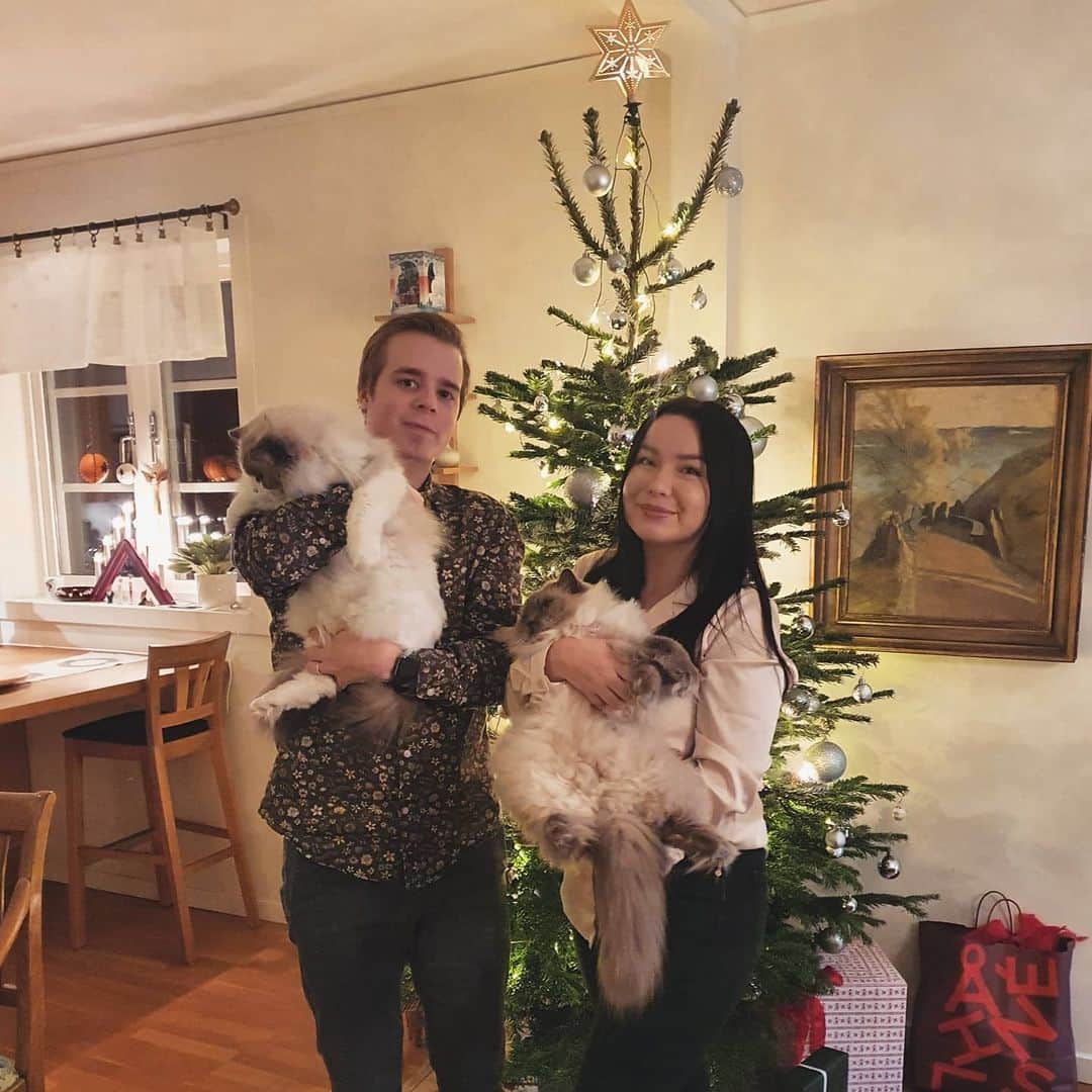 Princess Auroraのインスタグラム：「Merry Christmas everyone! 🎅  Here's our annual Christmas photo for 2020. As you can tell the kitties were not feeling it as much this time 😹  Hope everyone is having a wonderful Christmas, stay safe! ❤」
