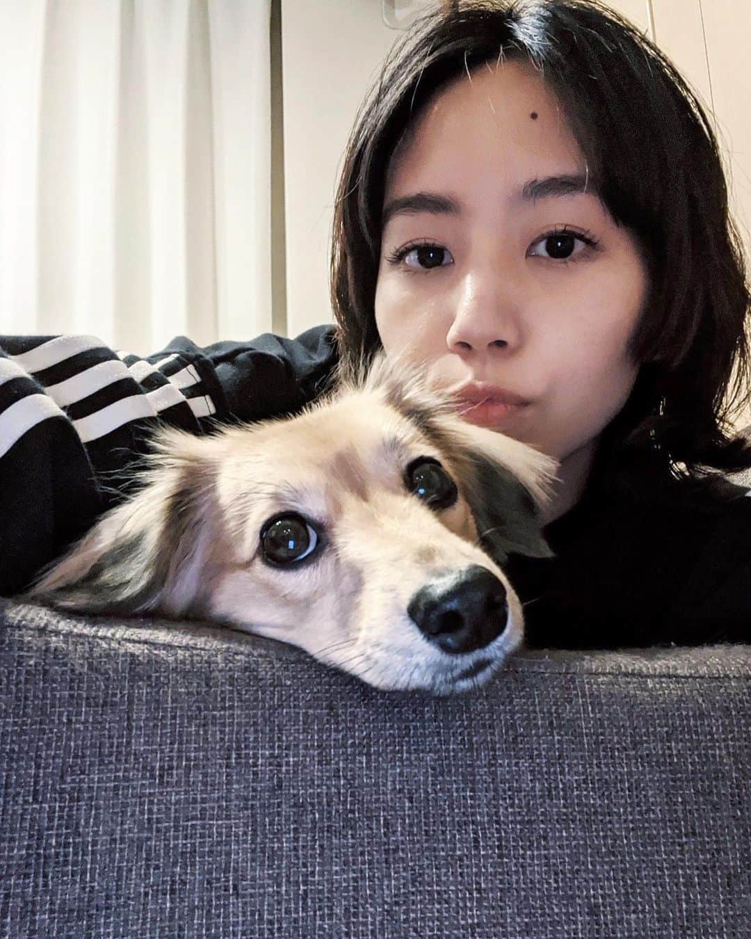 Shiho Sasakiのインスタグラム：「Merry Xmas🎄 今年はお家でゆっくり🏠  🐶があったかいからずっとくっついちゃう🐾 #xmas」