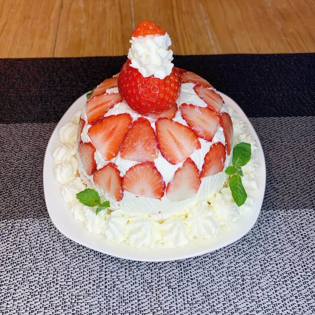 シュネルのインスタグラム：「メリークリスマス🎄  今年は『ドームケーキ』を作ってみた！  写真のみだけどみんなにケーキのプレゼント🎁  これから食べるから味はわからないけど多分美味しいでしょう　汗  来年はスウィーツをみんなに教えれるくらいの知識を勉強しようかな！  みんなは何ケーキ食べた？  #food #料理 #クリスマスケーキ #おうちごはん #シュネルキッチン」