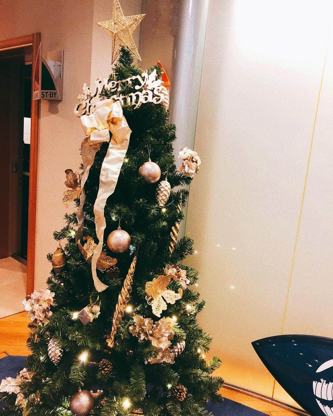 杉枝真結さんのインスタグラム写真 - (杉枝真結Instagram)「☺︎ Merry Xmas.🎄✨」12月25日 22時48分 - mayusugieda_official