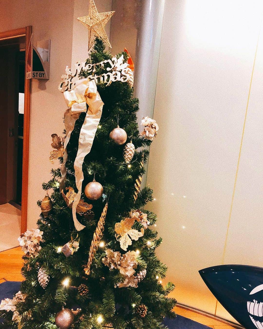 杉枝真結のインスタグラム：「☺︎ Merry Xmas.🎄✨」