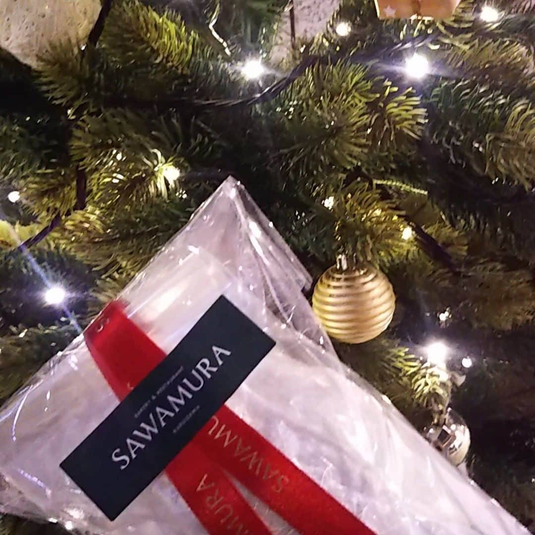 宮崎文子のインスタグラム：「#東京ツリーさんぽ   今年のシュトーレン⛄🎄✨」