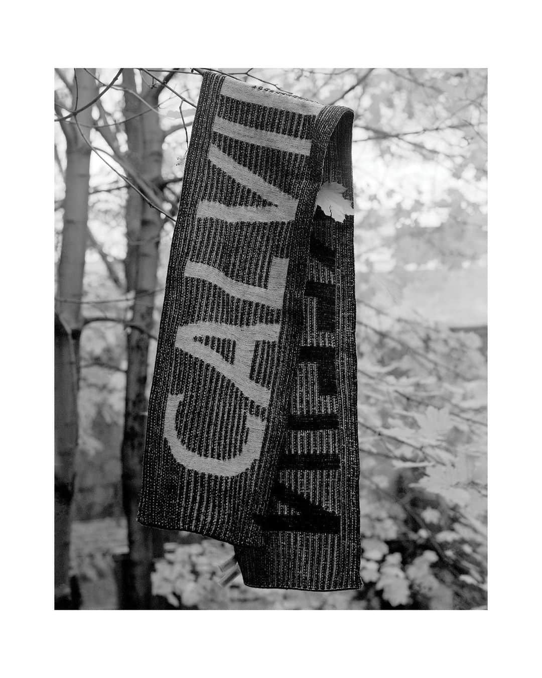 Calvin Kleinさんのインスタグラム写真 - (Calvin KleinInstagram)「Under the tree. The Plaited Logo Scarf. By @haileyheaton. #MYCALVINS  Happy holidays from Calvin Klein.」12月25日 23時03分 - calvinklein