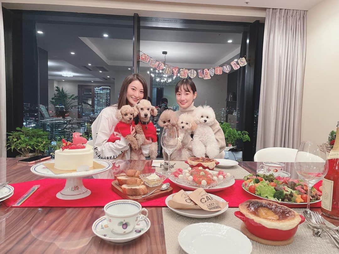 高嶋香帆のインスタグラム：「繭ちゃん家でクリスマスイブを過ごして来ました🎄💓  わんこ達含めたっくさんおもてなしして頂きました🥺✨  ありがとうっ 幸せな時間すぎた🥰  #poodlelove  #poodlegram  #プードル多頭飼 #犬のいる暮らし  #犬愛好家 #ビッグラブ」