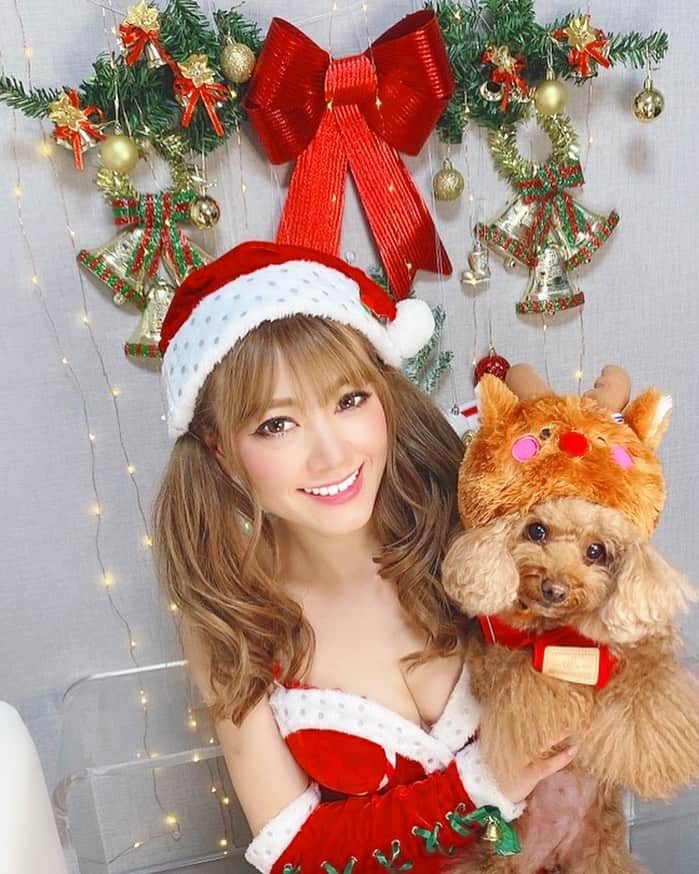 米本紗弥香のインスタグラム：「Merry Xmas🎄🎁❤️  #クリスマス #christmas #クリスマスツリー #xmas #イルミネーション #サンタ #メリークリスマス #サンタコス #merrychristmas #🎄 #メリクリ #コスプレ  #サンタコス #トイプードル #トイプー #toypoodle #dog #トイプードルレッド #poodle #dogstagram #トイプードル大好き #犬コスプレ #トナカイ」