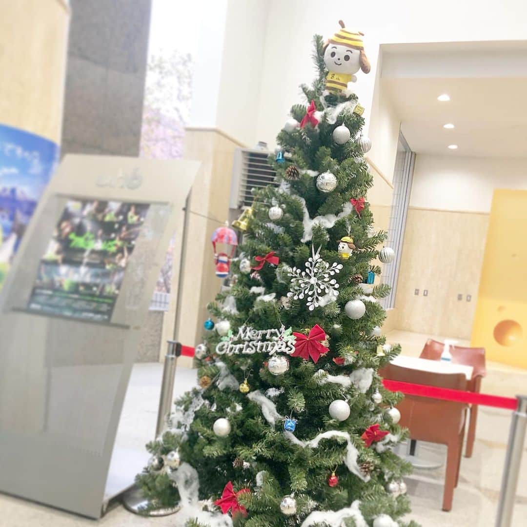 石野智子さんのインスタグラム写真 - (石野智子Instagram)「🎅🏻🦌🎄  先週のいっとこ！スタジオと 会社のクリスマスツリー🎄🐝 #merrychristmas #クリスマスツリー  #会社 #uhb #アナウンサー」12月25日 23時57分 - uhb_ishino