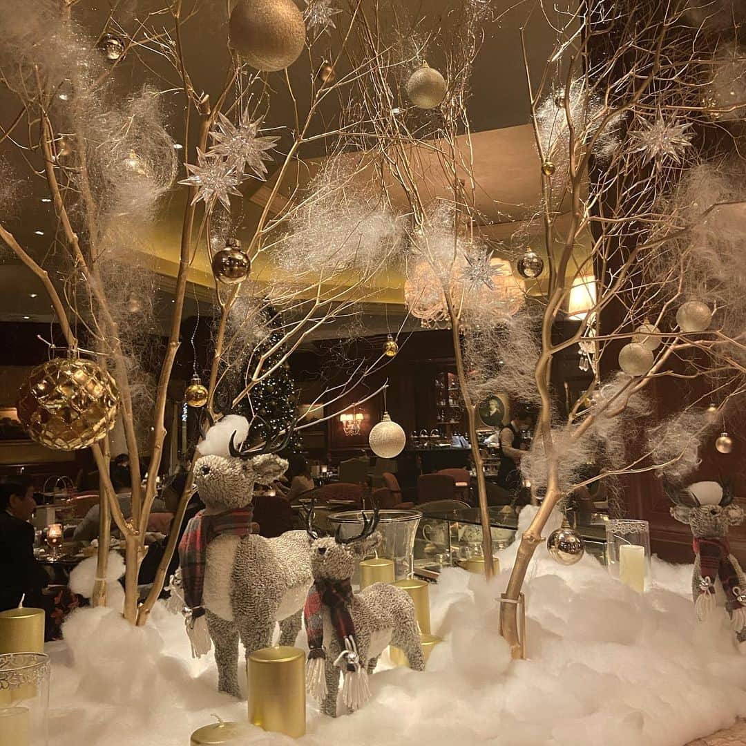 鈴木絢子さんのインスタグラム写真 - (鈴木絢子Instagram)「・ ・ 【リッツのクリスマス🦁】 少しはクリスマスらしい空気感を味わおうと、、🎄 ・ ジュエリーの打ち合わせを兼ね、 15年ぶり！大阪のリッツ・カールトンへ。 リオンくんがお出迎えしてくれましたw✨ ・ 🦁リオンくん→ リッツ大阪のオリジナルマスコット、子ライオンだそうです。 ・ 大阪のリッツは東京とコンセプトも違いクラシックな感じ。 まさにクリスマスシーズンにはピッタリな雰囲気です🤗🌟 ・ ・ 食事もリッツで🍽 The Ritz-Carlton, Osaka  #イタリア料理  #スプレンディード ・ 王道なイタリアン。 トスカーナの別荘をイメージしているそう。 伝統的なクリスマスのコンソメスープもシンプルで美味しい✨ #紫芋 #芋チップス が入ったメインが最高でした😆🍠 ・ ・ ・ #リッツカールトン大阪 #リッツ大阪 #リオンくん #クリスマスディナー #大阪グルメ #大阪イタリアン #トスカーナ #ホテルクリスマス #クリスマスツリー #邸宅レストラン #クラシックホテル #美食 #🎄#🦁 #TheRitzcarlton #hotelstay」12月25日 23時58分 - ayako_suzuki810