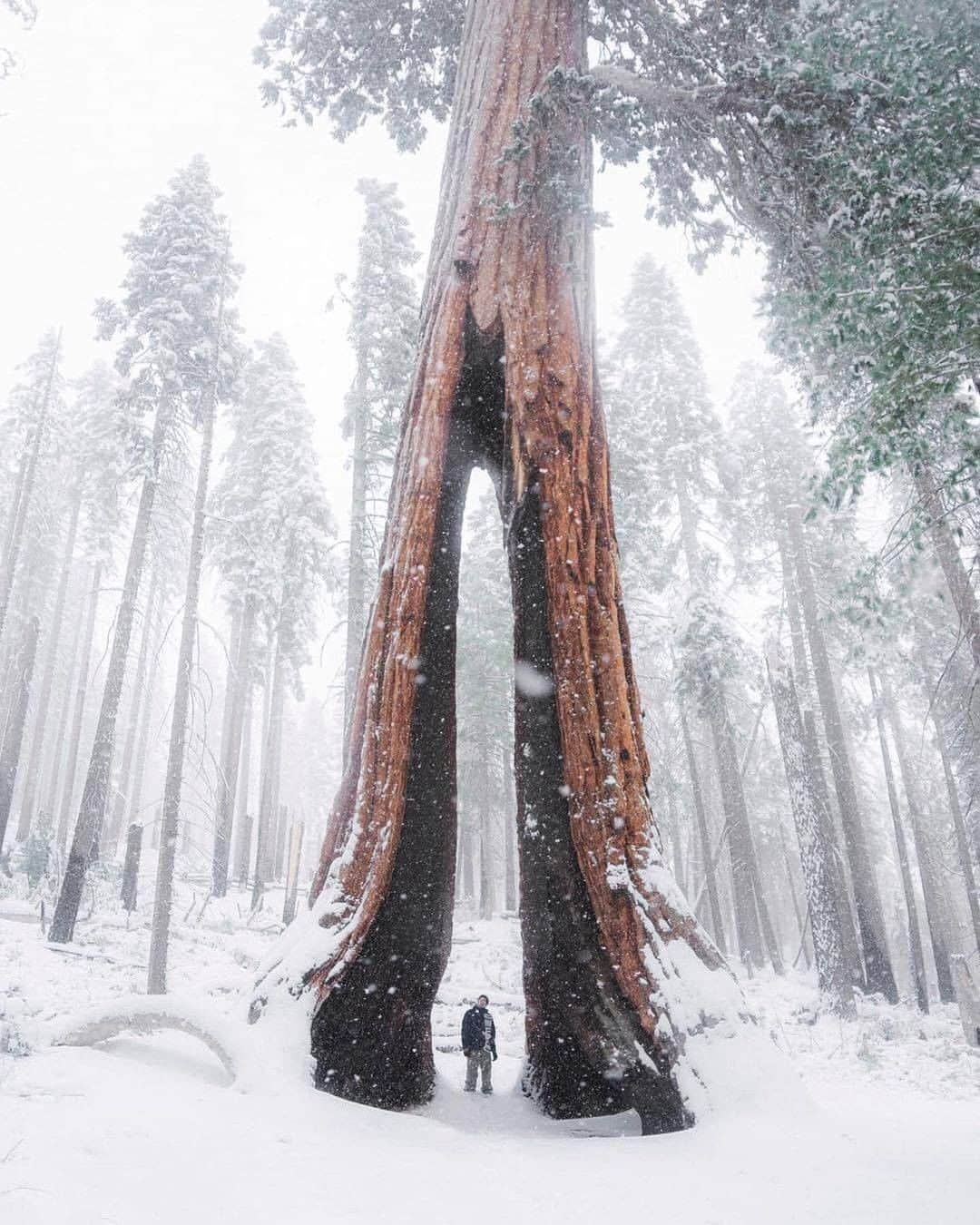 Discover Earthのインスタグラム