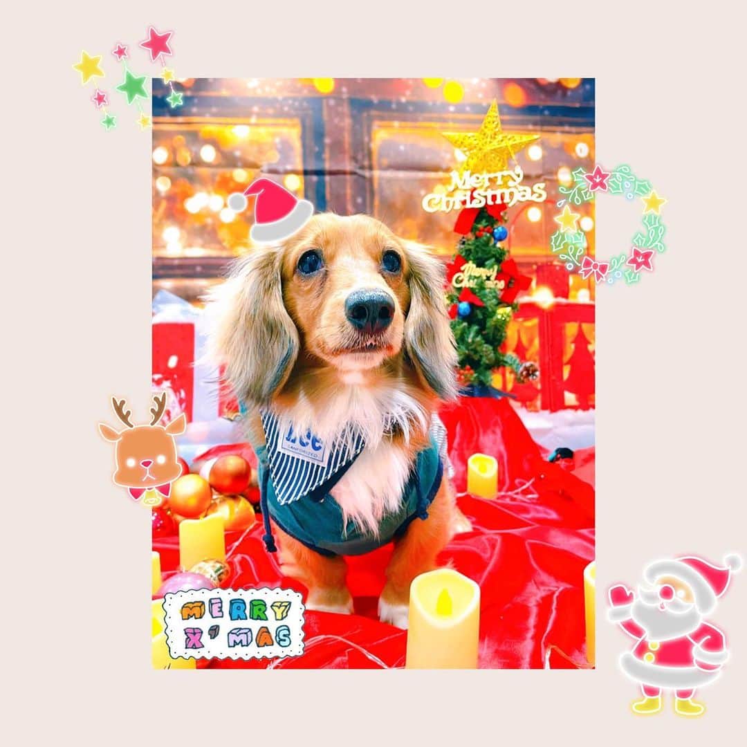 井坂仁美のインスタグラム