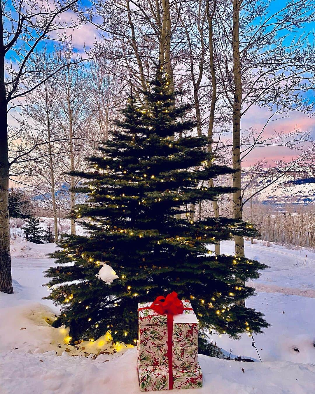 ニッキー・シックスさんのインスタグラム写真 - (ニッキー・シックスInstagram)「Just after sunrise Christmas morning 2020.  Looks like Santa left a little something under the tree for Ruby. 🎁 🎄 We miss our family and friends this time of year but know the planet is healing and look forward to decades of celebration together in the future. God bless.」12月26日 0時05分 - nikkisixxpixx