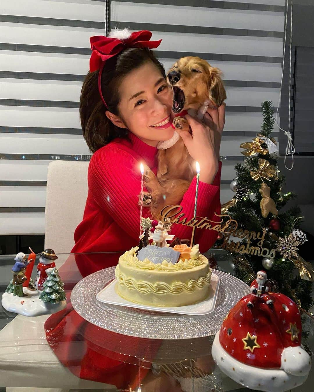 yuiさんのインスタグラム写真 - (yuiInstagram)「. 楽しかったXmas🎁🎄🎁🐩🎂 . らむちゃんもきっと楽しかったハズ❤️ . @ramchanmd 🐩💛 . 世界で一番可愛いサンタのアクビでした🥱🎅❤️ . . #クリスマス#クリスマスイヴ#Xmas#サンタ犬」12月26日 0時21分 - yuiram