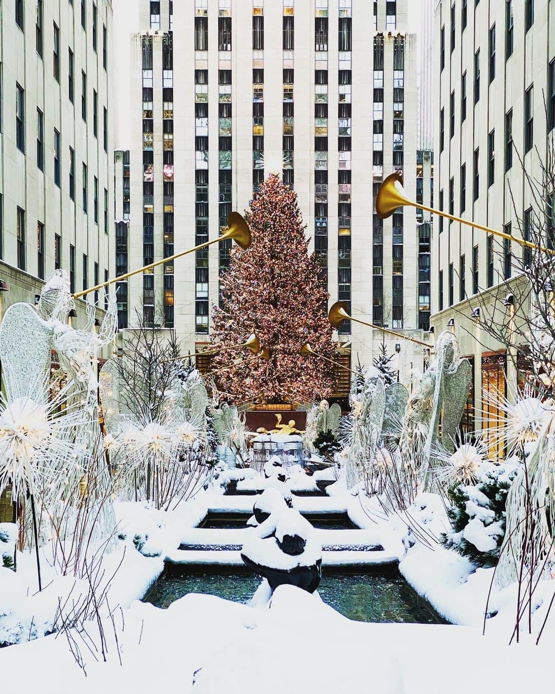 のインスタグラム：「Happy Holidays 🎄 From The Todd Snyder team. We thank you for being a loyal customer and wish you all the best in 2021 🎄 #toddsnyder」