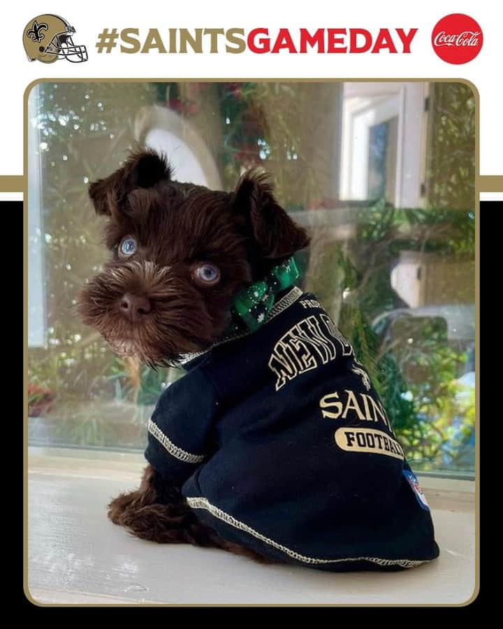 ニューオーリンズ・セインツさんのインスタグラム写真 - (ニューオーリンズ・セインツInstagram)「A Christmas #SaintsGameday! Tell us about your best Saints gifts 👀🎁」12月26日 0時33分 - saints