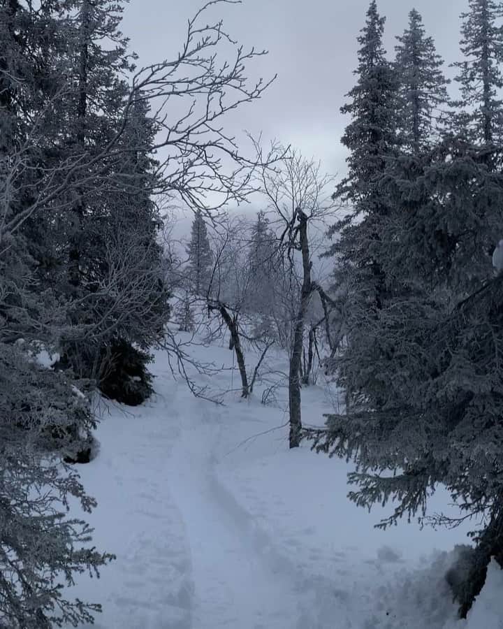 Mathilde Goehlerのインスタグラム：「Finland 🤍」