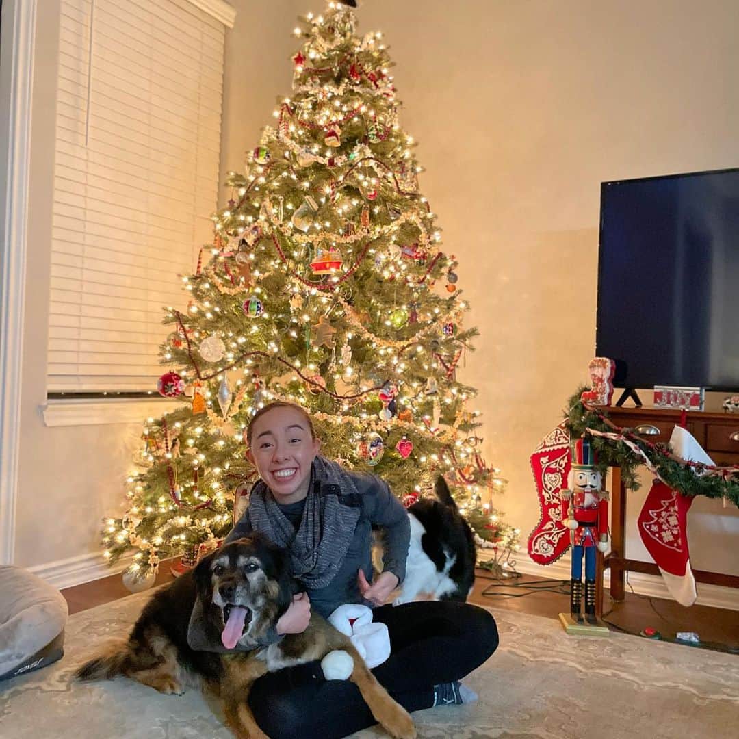 ブルックリー・ハンさんのインスタグラム写真 - (ブルックリー・ハンInstagram)「Christmas 2020: a series   Wishing everyone a wonderful and safe holiday. 🎄✨」12月26日 0時55分 - brookleeh95