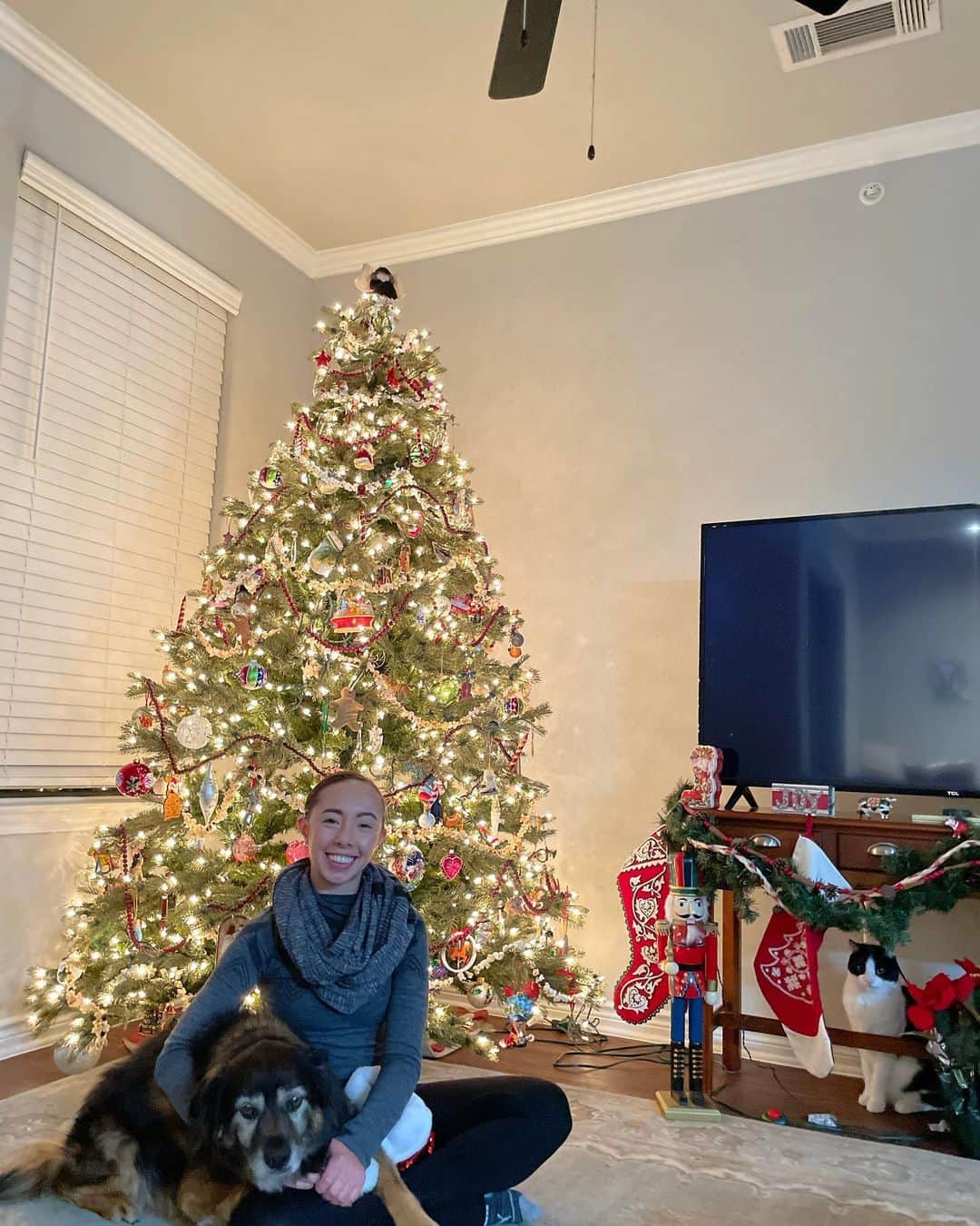 ブルックリー・ハンさんのインスタグラム写真 - (ブルックリー・ハンInstagram)「Christmas 2020: a series   Wishing everyone a wonderful and safe holiday. 🎄✨」12月26日 0時55分 - brookleeh95