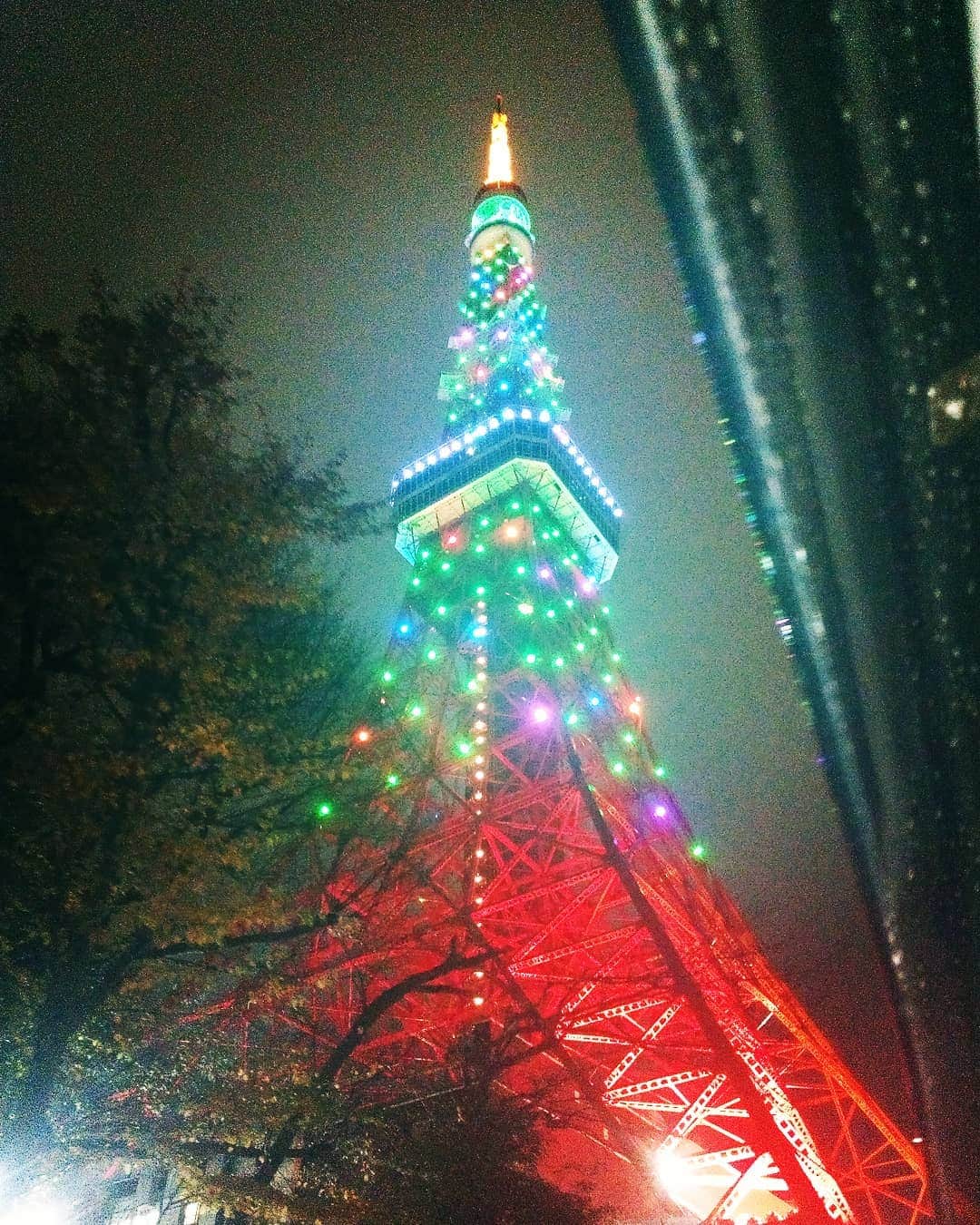 菅ハンナのインスタグラム：「東京タワーさん、クリスマス🎄おつかれ😍  #東京タワー #東京タワー夜景  #クリスマス #クリスマスツリー #🎄 #東京クリスマス」