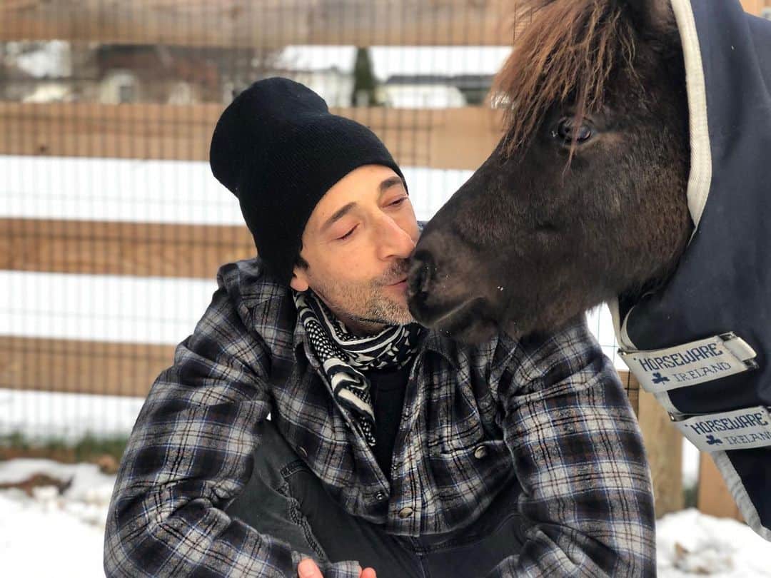 エイドリアン・ブロディのインスタグラム：「🦌 🦌🦌__🛷✨✨ sending #love and wishing you all a very #merrychristmas and a #happyholidays」