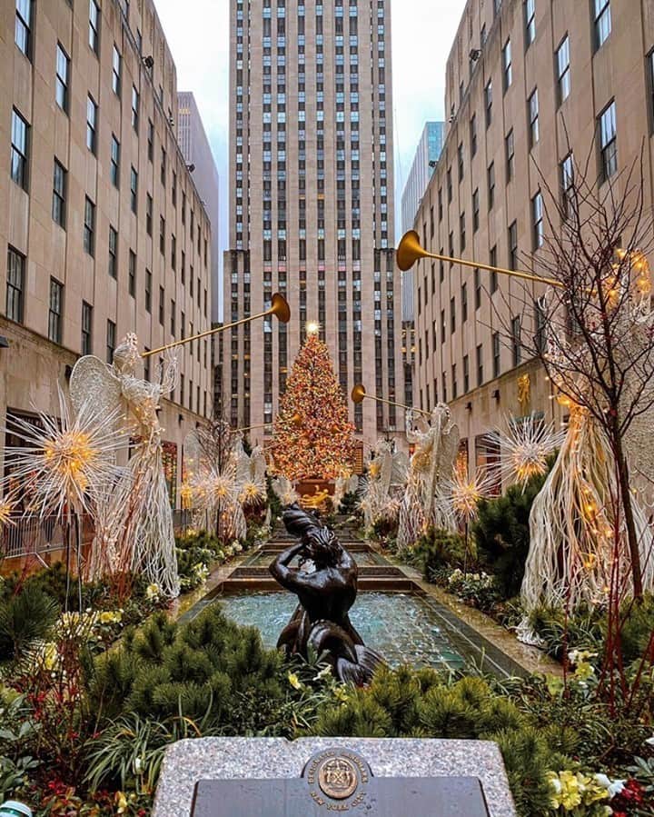 GILTのインスタグラム：「And to all a safe holiday. 🌟 Photo by: @pictures_of_newyork.」