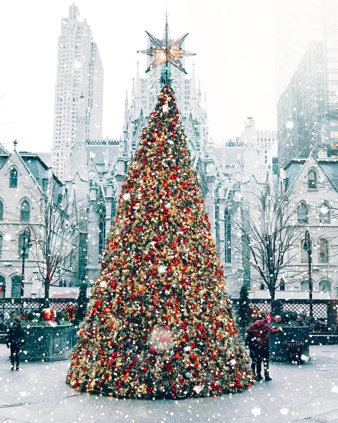ELLE DECORさんのインスタグラム写真 - (ELLE DECORInstagram)「Merry Christmas to all. 🎄✨ #regram 📸: @ananewyork #NewYorkCity」12月26日 2時00分 - elledecor