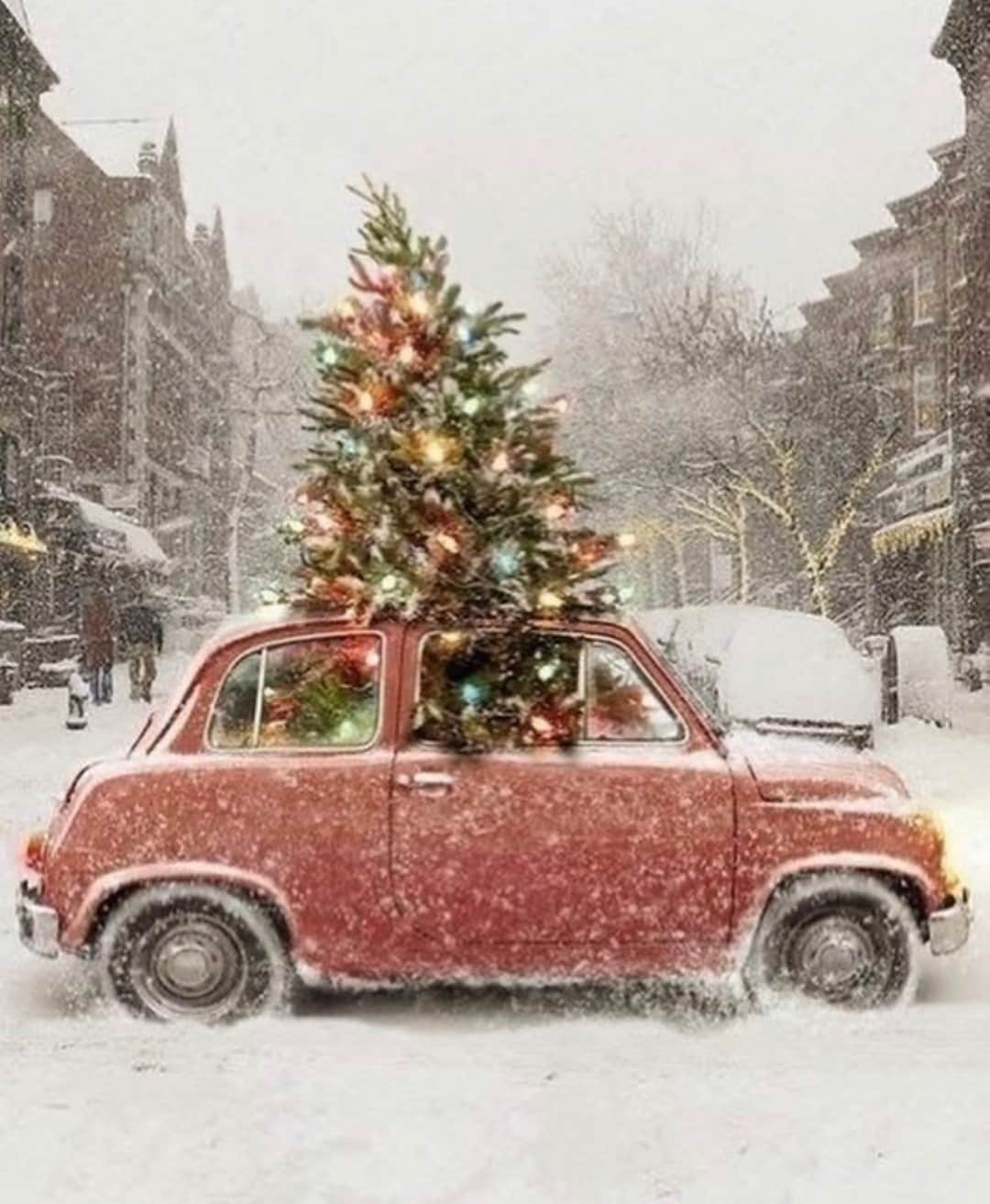 ダニジョーのインスタグラム：「Bringing joy wherever we go 🚗🎄💫」