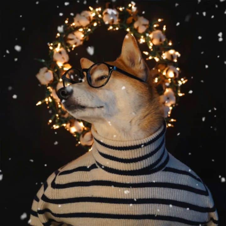 Menswear Dogのインスタグラム：「✨ Here to sprinkle a little Mensweardog Magic to your feed ✨  We love you all and wish you a warm, joyful & magestic holiday season 🎄」