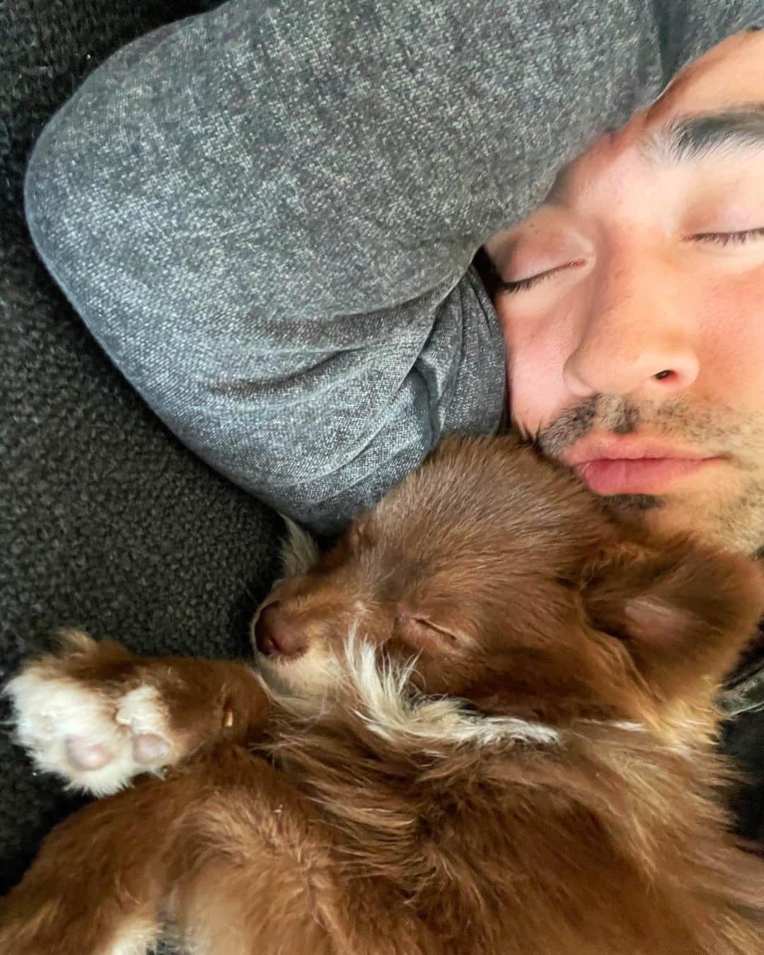 ニコラ・フォルミケッティのインスタグラム：「Happy holidays 💤」