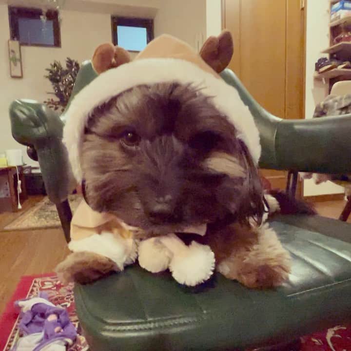 中嶋イッキュウのインスタグラム：「サンタさんプレゼントたくさんありがとう 幸せなクリスマスでした」