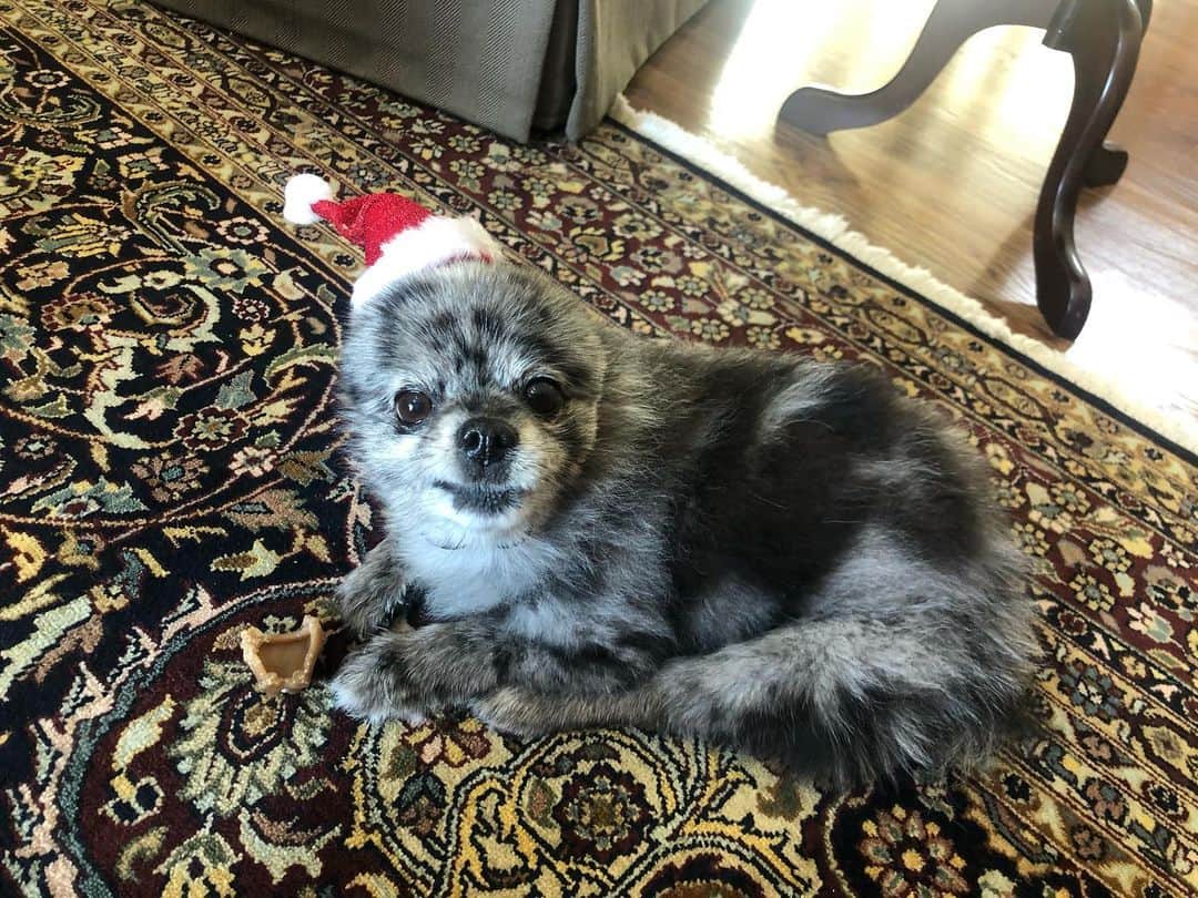 ジェシカ・ストループのインスタグラム：「Merry Christmas and happy holidays 🥰」