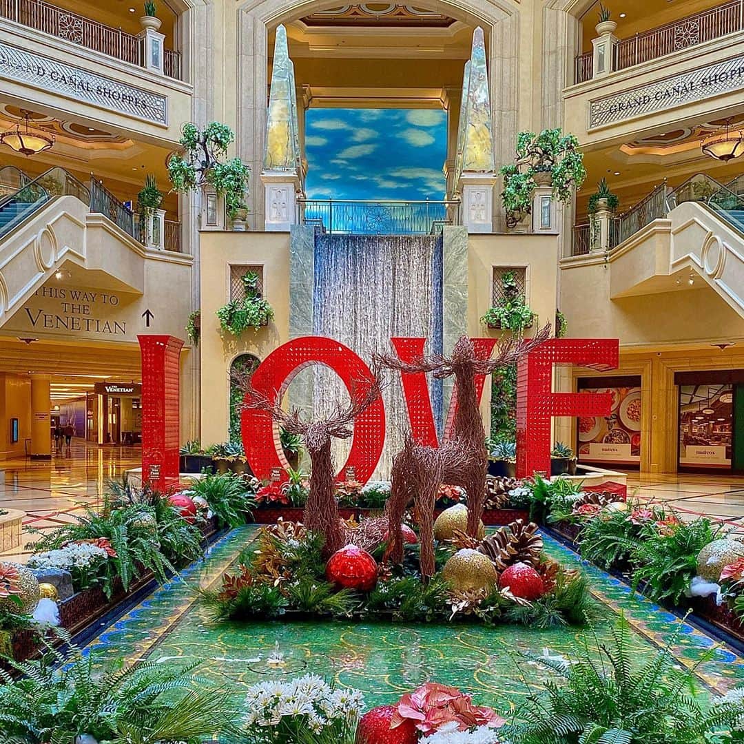 The Venetian Las Vegasさんのインスタグラム写真 - (The Venetian Las VegasInstagram)「Sending you love, joy and cheer this holiday season.」12月26日 3時00分 - venetianvegas